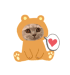 猫ちゃんの使って楽しいstamp 123（個別スタンプ：11）