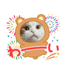 猫ちゃんの使って楽しいstamp 123（個別スタンプ：15）
