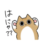 猫のてんふく（個別スタンプ：18）