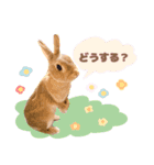 うさこのstamp（個別スタンプ：4）