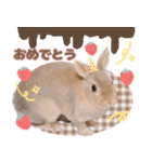 うさこのstamp（個別スタンプ：9）