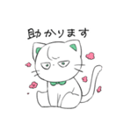 リボンくまねこ(敬語)（個別スタンプ：28）