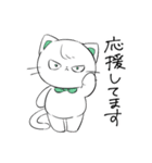 リボンくまねこ(敬語)（個別スタンプ：29）