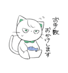 リボンくまねこ(敬語)（個別スタンプ：34）