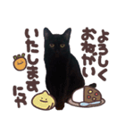 黒猫ちゃんの写真スタンプ（個別スタンプ：24）