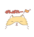 ねこのモモちゃんの使えるやつ。（個別スタンプ：19）