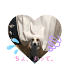 めいにゃん♡3（個別スタンプ：5）
