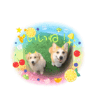 めいにゃん♡3（個別スタンプ：7）
