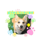 めいにゃん♡3（個別スタンプ：12）