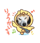 めいにゃん♡3（個別スタンプ：13）