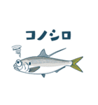 釣果報告 釣りと魚たち【修正版】（個別スタンプ：13）