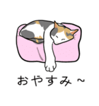 7匹の猫の日常（個別スタンプ：2）