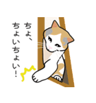 7匹の猫の日常（個別スタンプ：6）