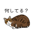 7匹の猫の日常（個別スタンプ：19）