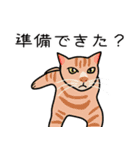 7匹の猫の日常（個別スタンプ：25）