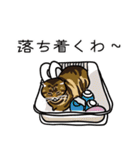 7匹の猫の日常（個別スタンプ：27）