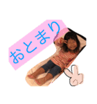 あしゅたんぷぷ（個別スタンプ：34）