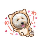 tripleC.（個別スタンプ：6）