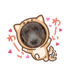 tripleC.（個別スタンプ：16）