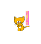 ポジティブねこちゃんさん（個別スタンプ：5）