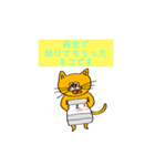 ポジティブねこちゃんさん（個別スタンプ：14）