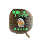 鈴木家のリチャードソンジリス（個別スタンプ：19）