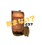 鈴木家のリチャードソンジリス（個別スタンプ：34）