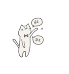 当たり障りないねこ（個別スタンプ：12）