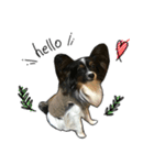Jill＆Ema's Sticker（個別スタンプ：1）