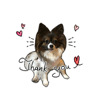 Jill＆Ema's Sticker（個別スタンプ：2）