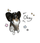 Jill＆Ema's Sticker（個別スタンプ：4）