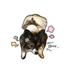 Jill＆Ema's Sticker（個別スタンプ：5）