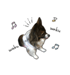 Jill＆Ema's Sticker（個別スタンプ：6）