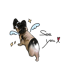 Jill＆Ema's Sticker（個別スタンプ：7）