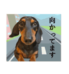 僕は、こてちゅ。（個別スタンプ：9）