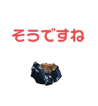 木村とら（個別スタンプ：14）