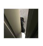 【待望】くー（個別スタンプ：13）
