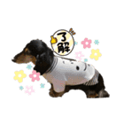 レンさん第二弾（個別スタンプ：9）