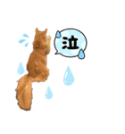 メインクーンのビビ（個別スタンプ：7）