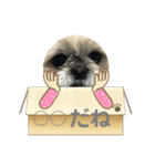 小太郎のあいさつ6❤︎"（個別スタンプ：4）