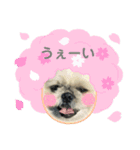 小太郎のあいさつ6❤︎"（個別スタンプ：5）