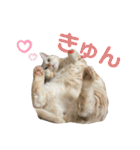 コロンたんのThinking Time Now（個別スタンプ：3）