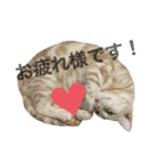 コロンたんのThinking Time Now（個別スタンプ：21）
