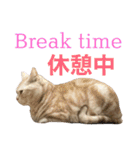 コロンたんのThinking Time Now（個別スタンプ：22）