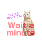コロンたんのThinking Time Now（個別スタンプ：24）