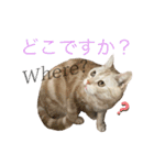 コロンたんのThinking Time Now（個別スタンプ：26）