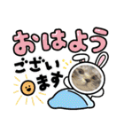 キジねこ めい様がゆく！（個別スタンプ：27）