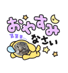 キジねこ めい様がゆく！（個別スタンプ：28）