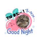 キジねこ めい様がゆく！（個別スタンプ：29）