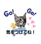 キジねこ めい様がゆく！（個別スタンプ：32）